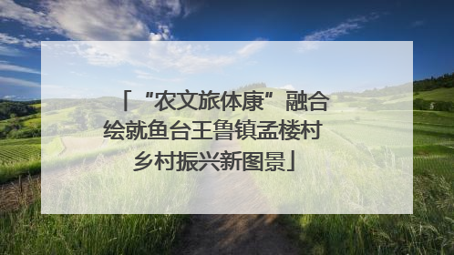 “农文旅体康”融合绘就鱼台王鲁镇孟楼村乡村振兴新图景